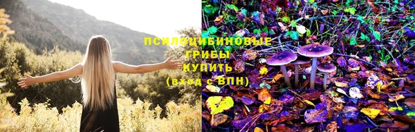дмт Алзамай